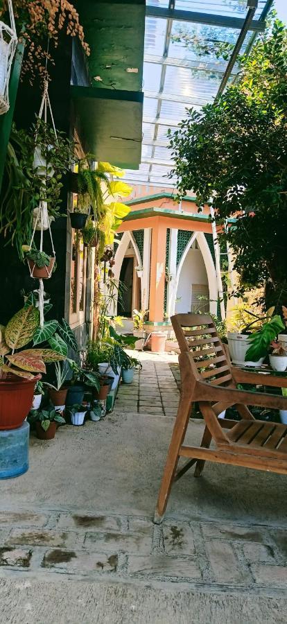 Latansa Homestay Banyuwangi  Exteriér fotografie